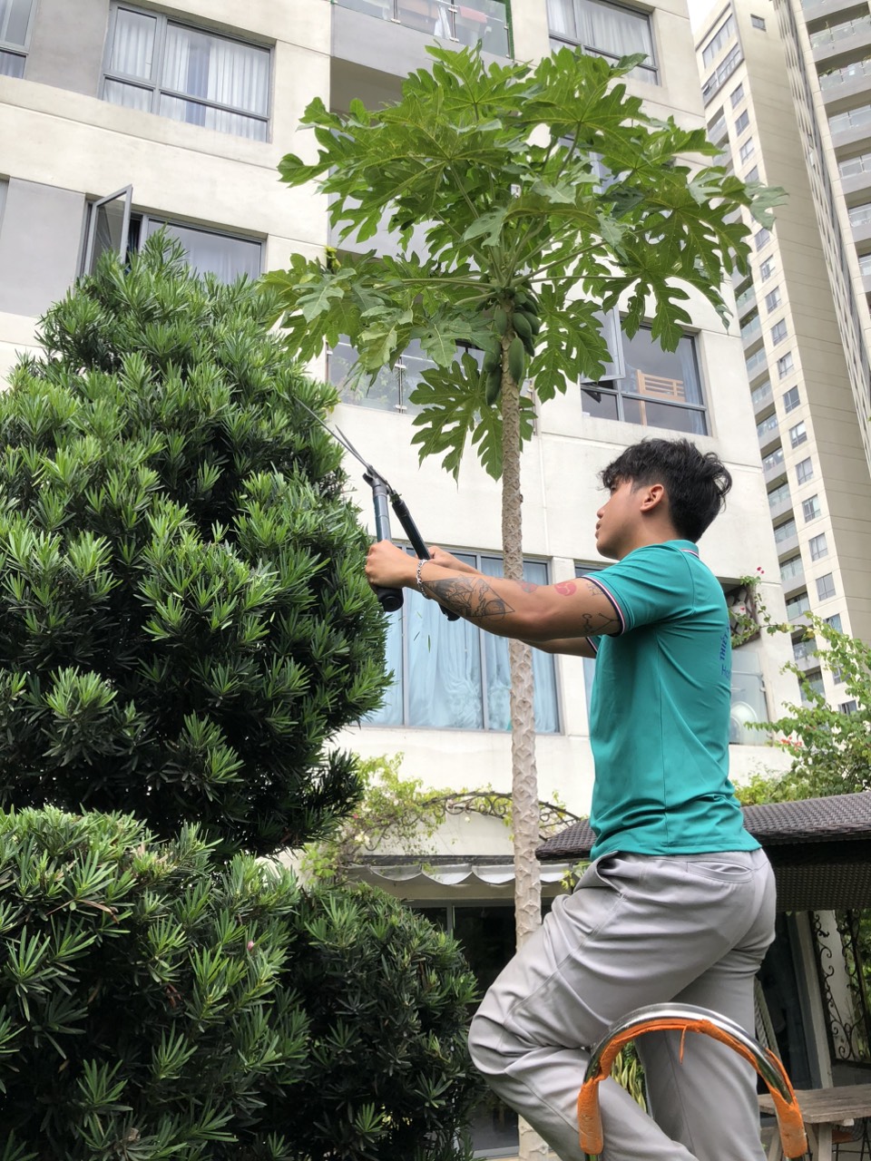 Dự án Bảo dưỡng Công ty Tâm Trí Lực 